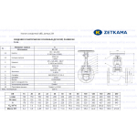 Zetkama 234A исп.01 Ду 20