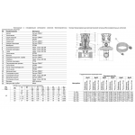 Клапан балансировочный Benarmo 3380H Ду20 Ру16 автоматический