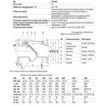 Клапан обратный поворотный Benarmo 3040 DN250 PN10/16