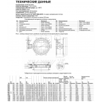 Затвор Benarmo 2210RA EPDM Ду1000 Ру10/16