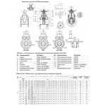 Задвижка 30ч939р Benarmo 1020A Ду350 Ру10/16