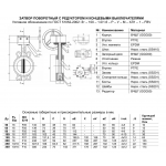 Затвор Benarmo FBV-RA EURO DN300 PN16 с редуктором