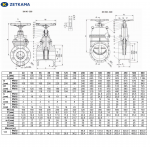 Zetkama 111D Ду200 Ру10
