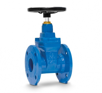 FAF 6000 (F4) Ду100