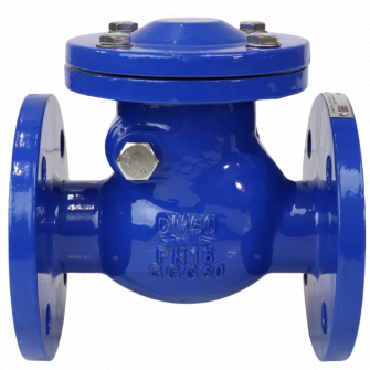 Клапан обратный поворотный Benarmo DN 65 PN10/16 (диск чугун)